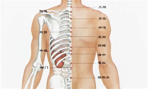 左後腰有痣